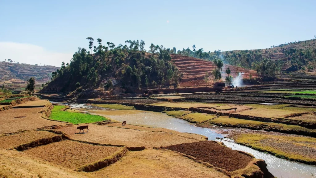 Madagascar