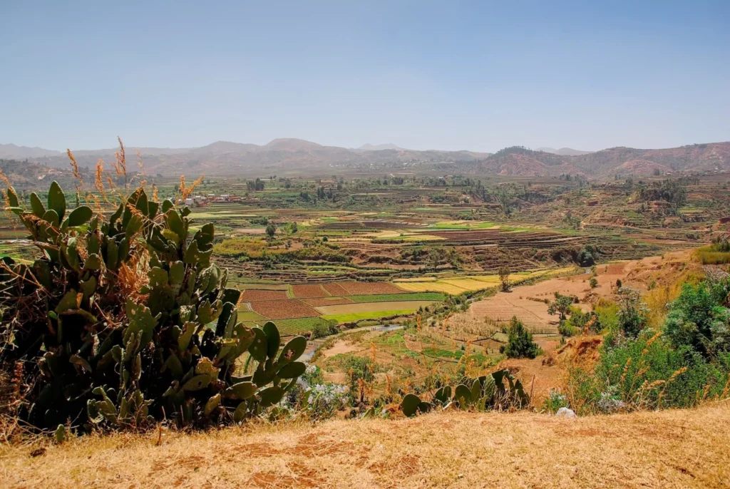 Madagascar