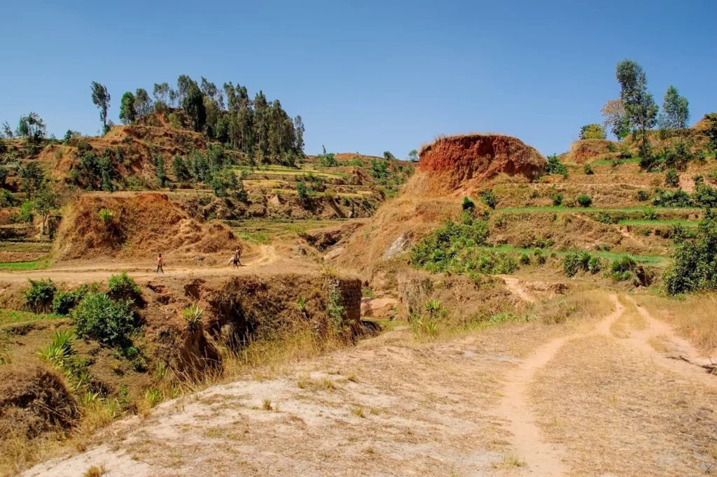 Madagascar