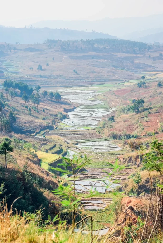 Madagascar