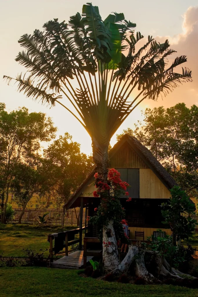 Madagascar
