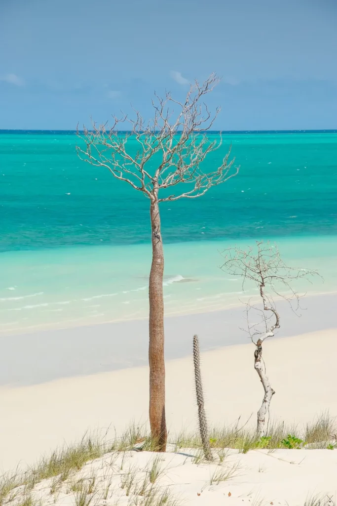 Madagascar