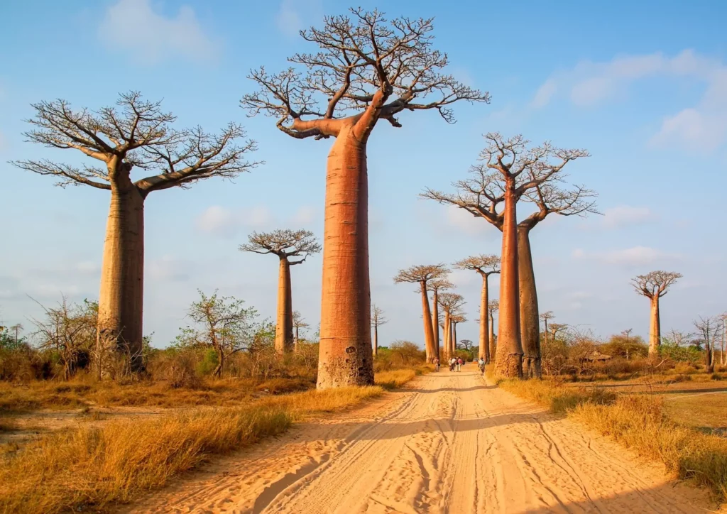 Madagascar