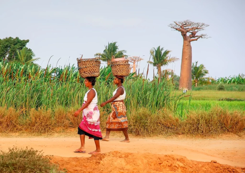 Madagascar