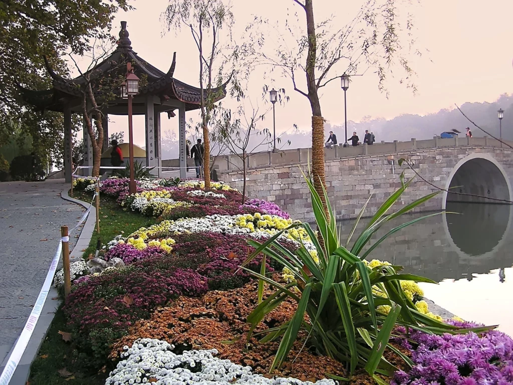 Chine