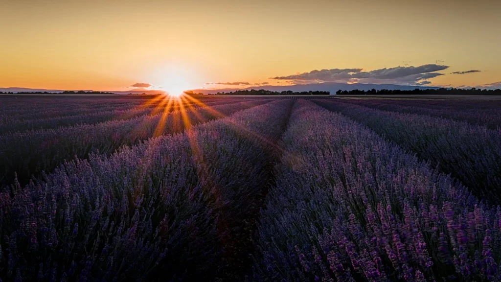 Provence