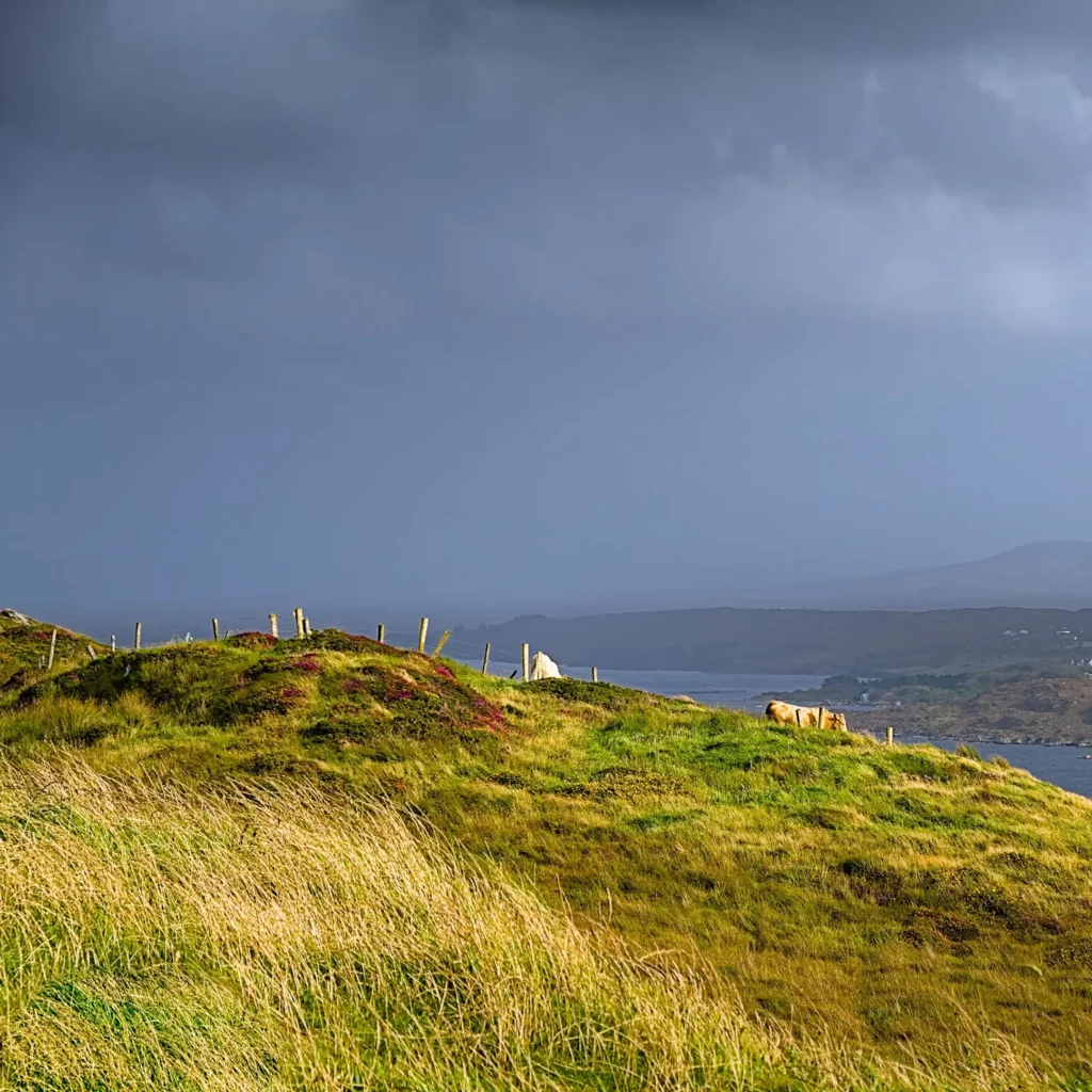 Irlande