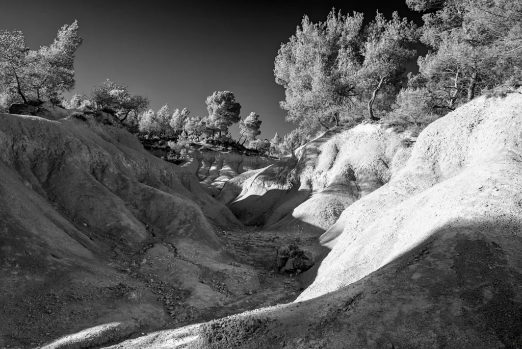Le noir et blanc en photographie