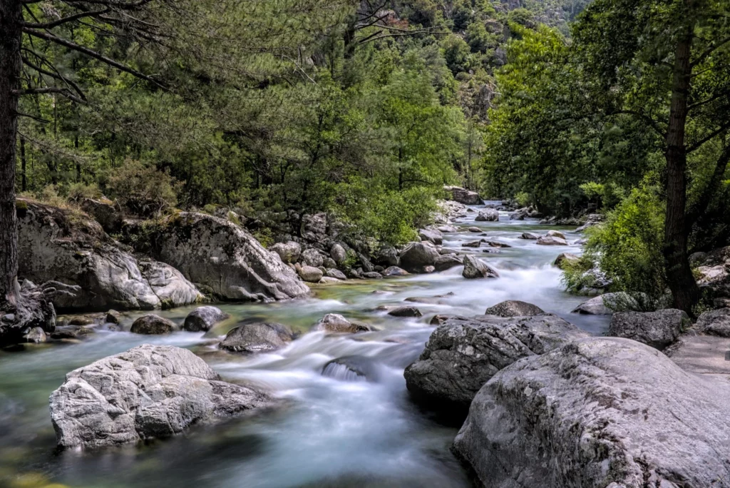 Voyage en Corse, juin 2021