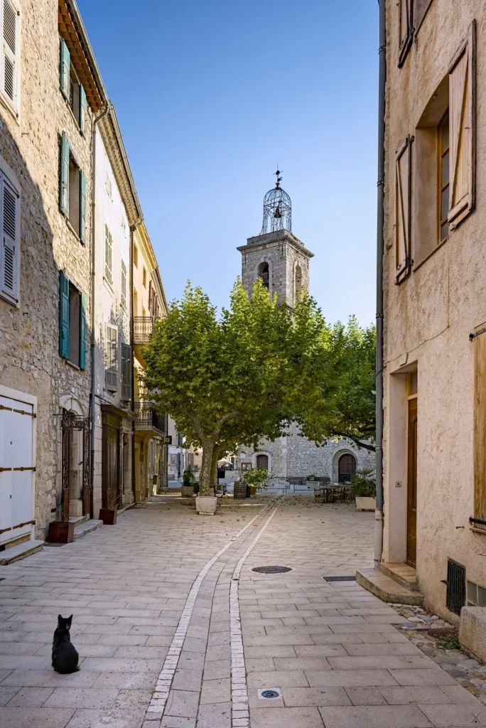 Balade en Dracénie, septembre 2021