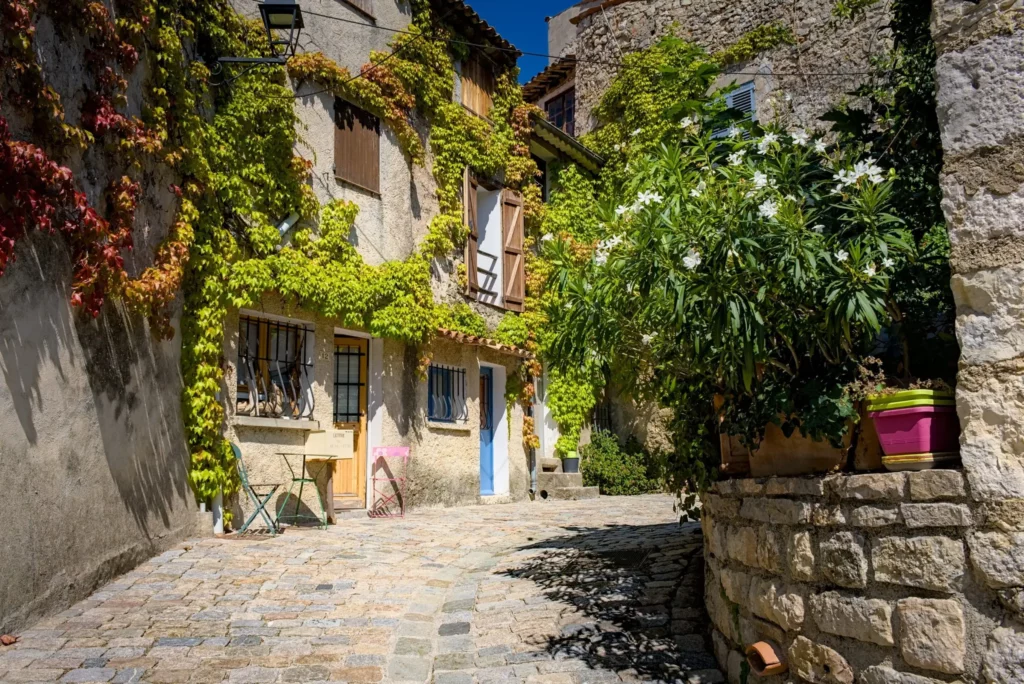 Balade en Dracénie, septembre 2021