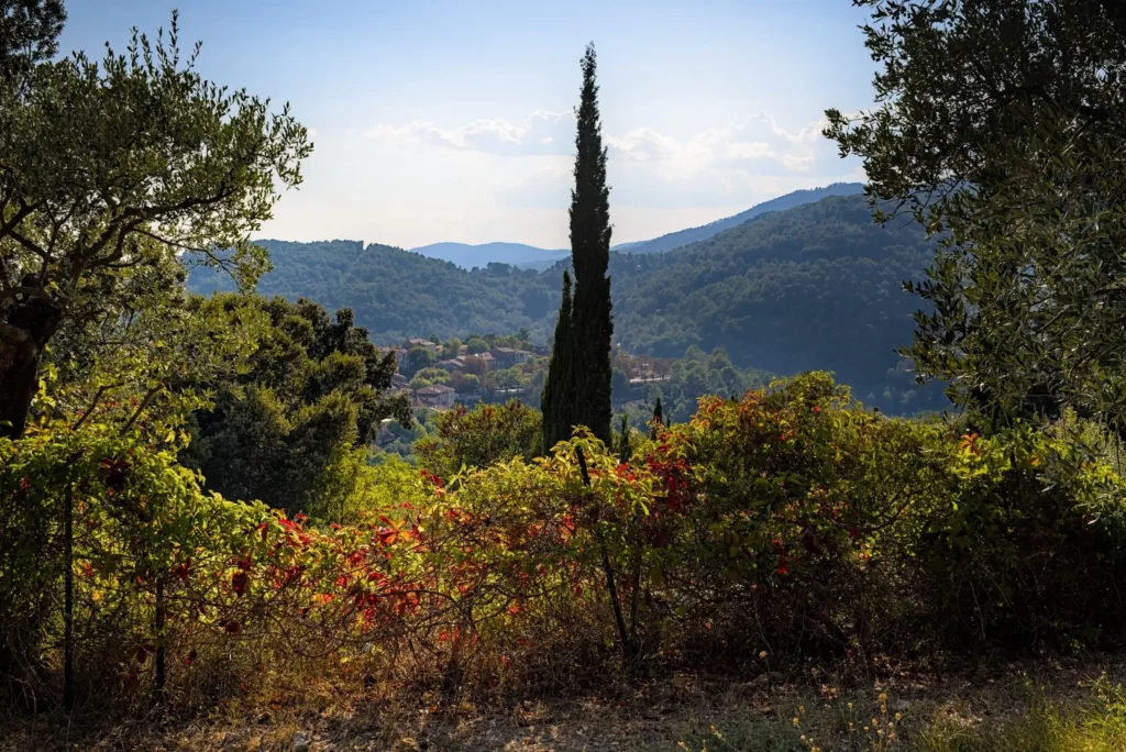 Provence