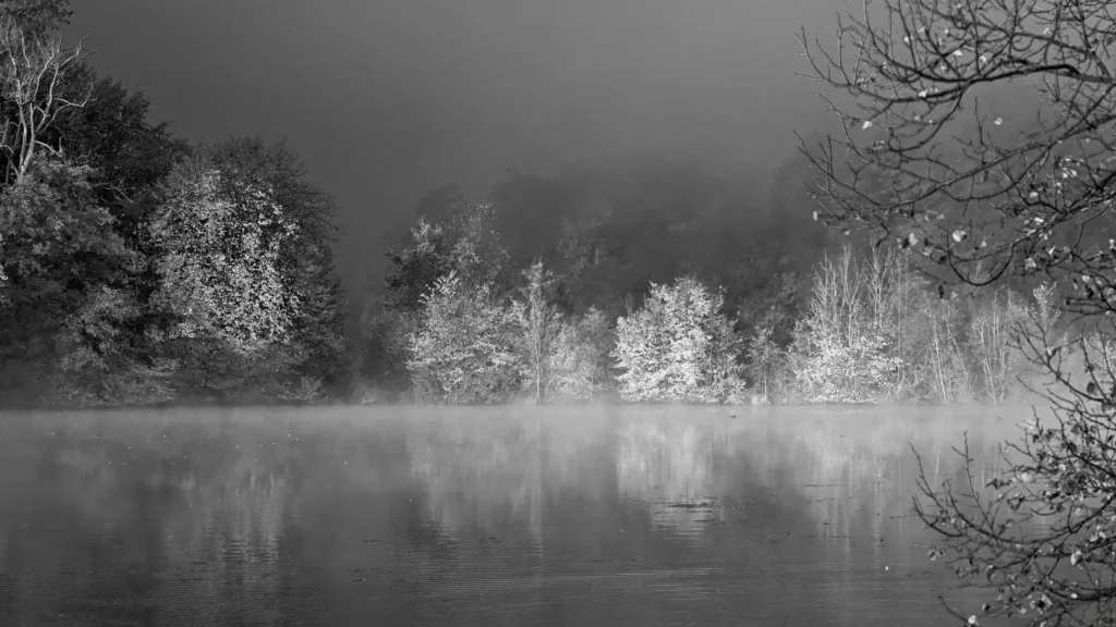 Noir et blanc