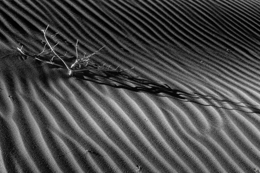 Le noir et blanc en photographie