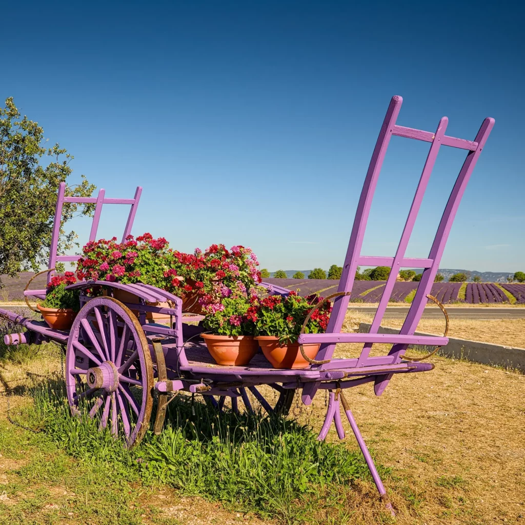 Provence