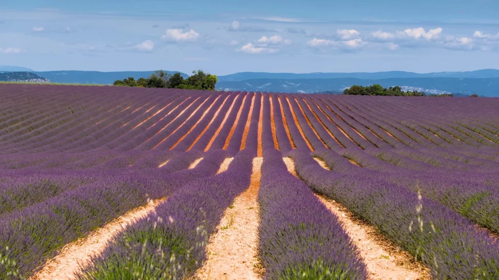 Provence