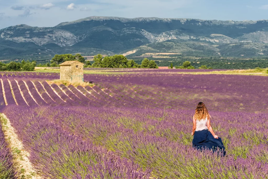 Provence