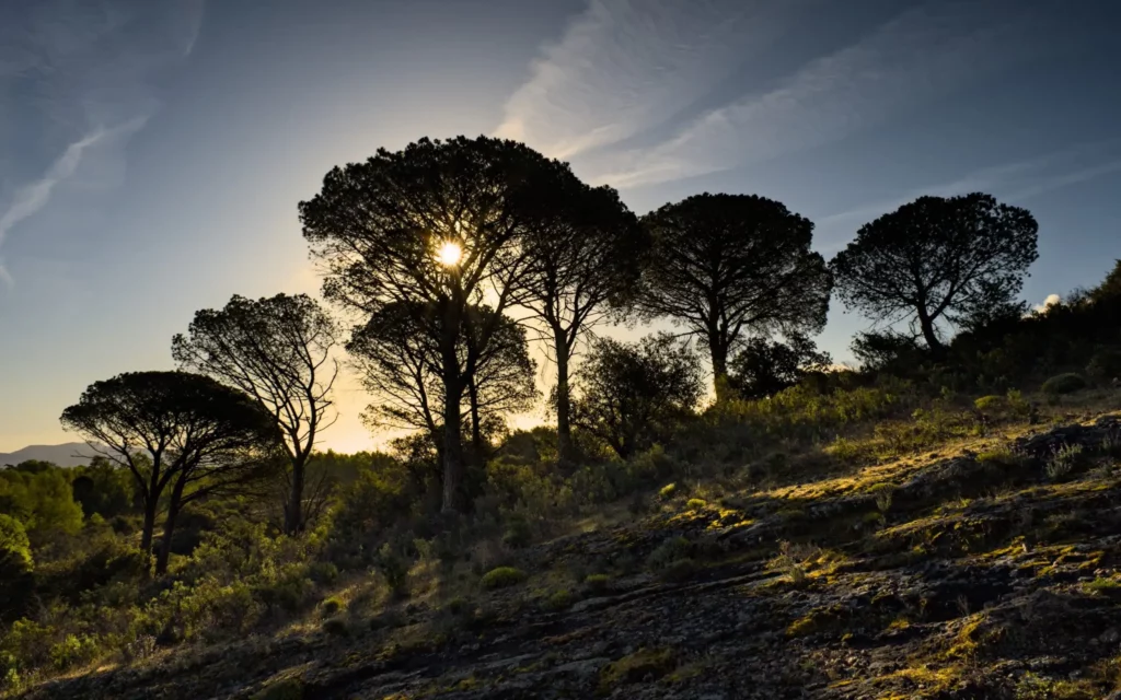 Le rocher de Roquebrune-sur-Argens, avril 2022