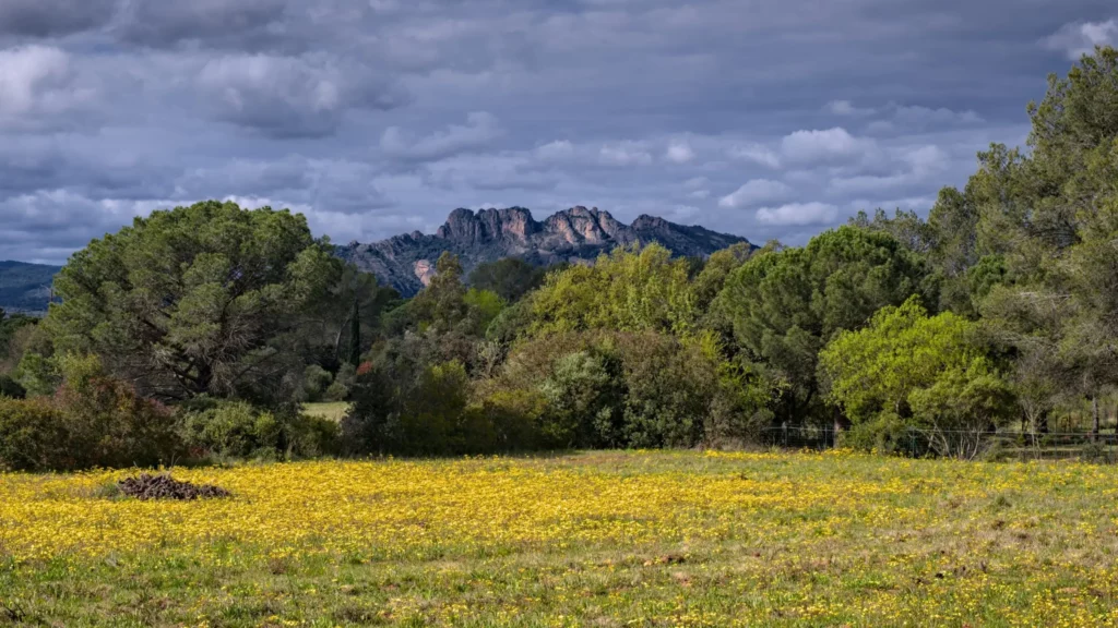 Le rocher de Roquebrune-sur-Argens, avril 2022
