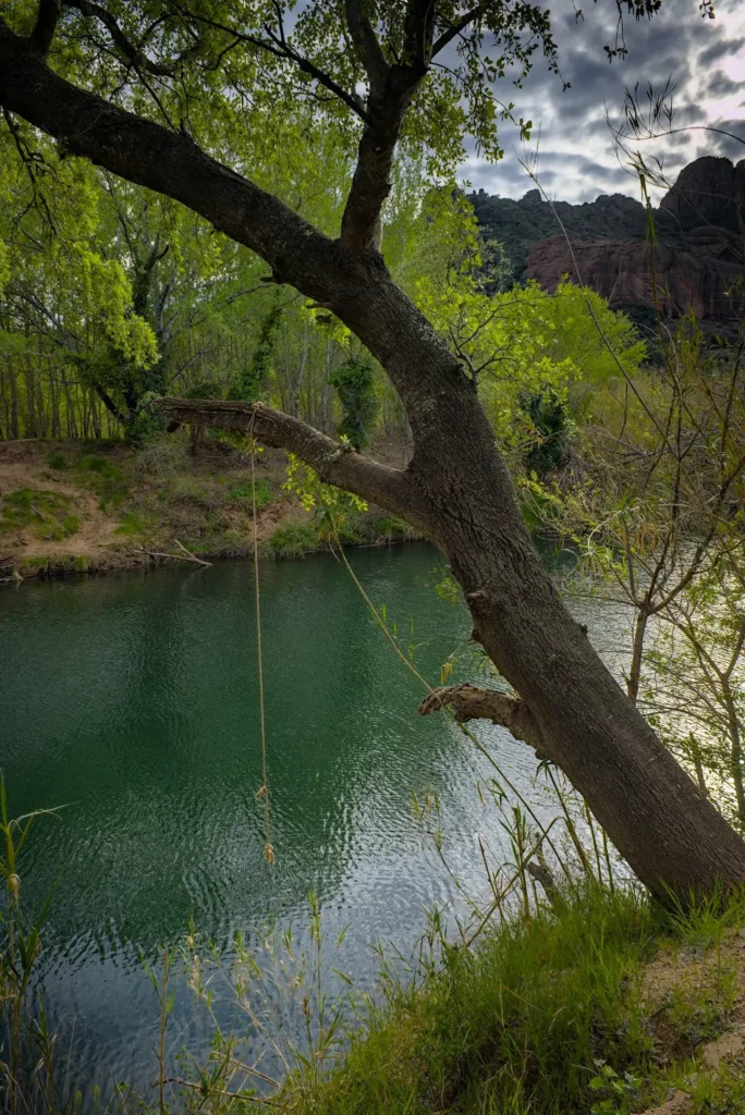 Le rocher de Roquebrune-sur-Argens, avril 2022