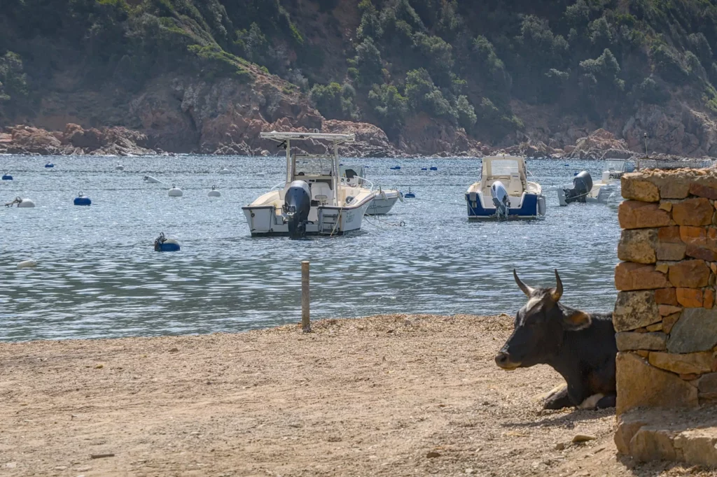 Corse, juin 2022