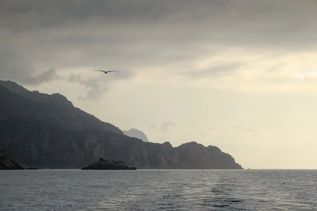 Corse, juin 2022