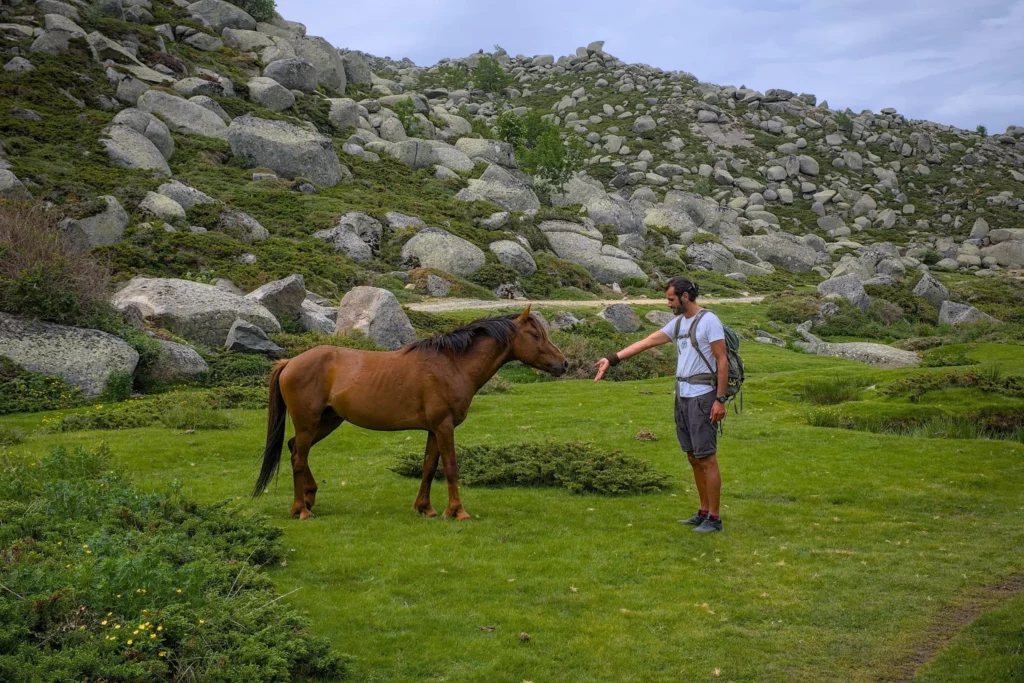 Corse, juin 2022