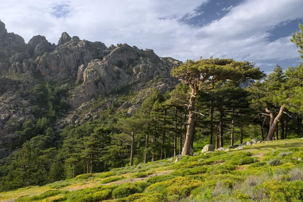 Corse, juin 2022