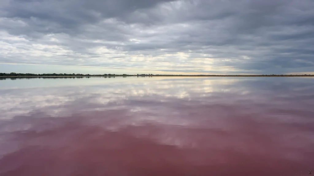 Les salins d’Aigues-Mortes, septembre 2022