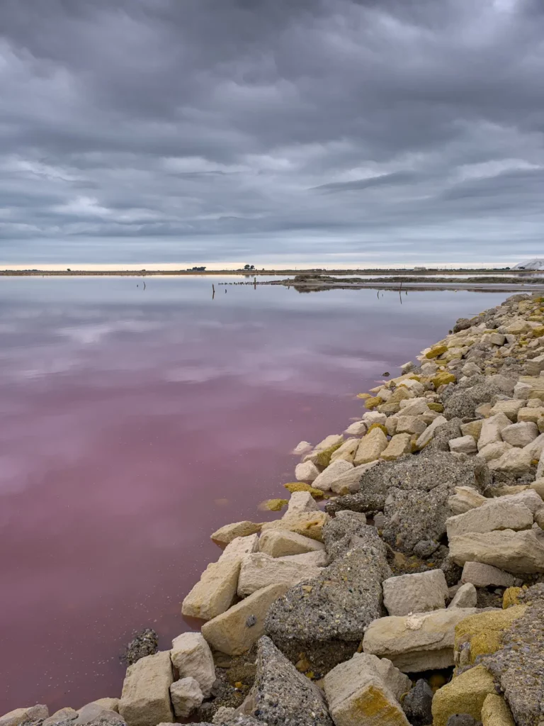 Les salins d’Aigues-Mortes, septembre 2022