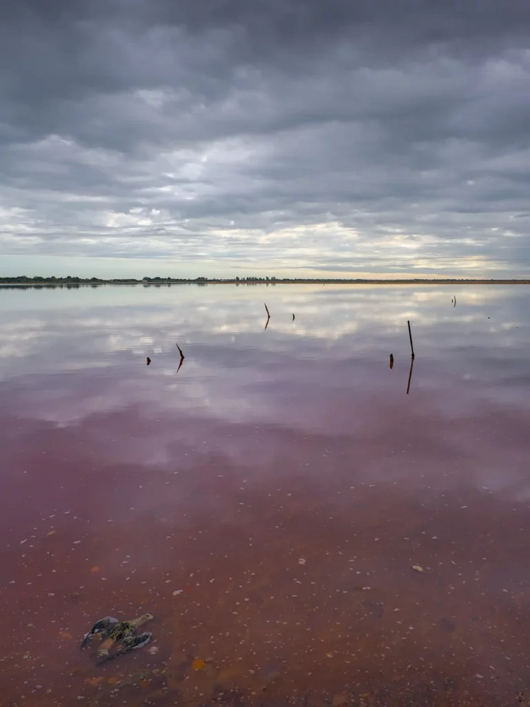 Les salins d’Aigues-Mortes, septembre 2022