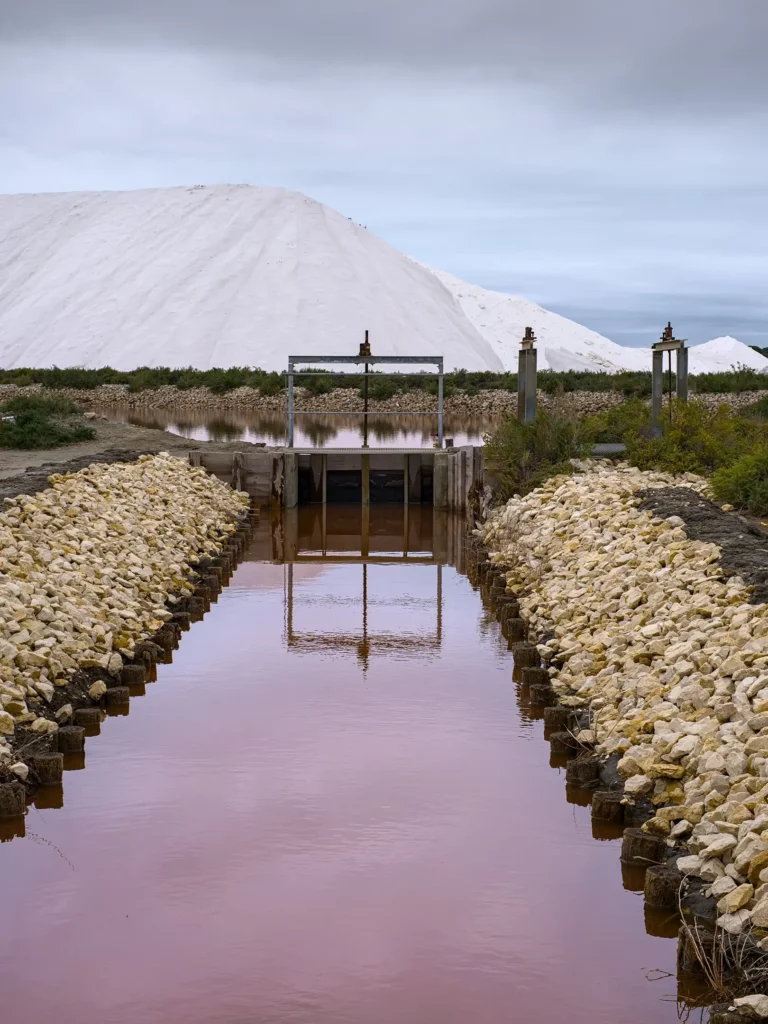 Les salins d’Aigues-Mortes, septembre 2022