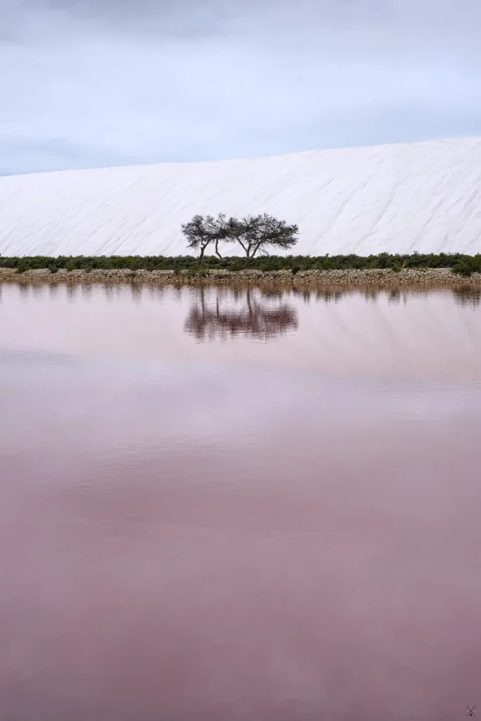 Les salins d’Aigues-Mortes, septembre 2022