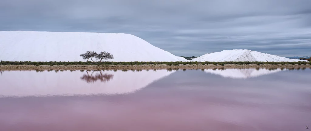 Les salins d’Aigues-Mortes, septembre 2022