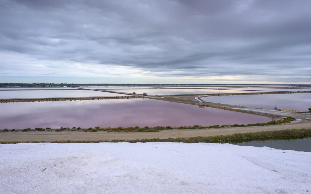 Les salins d’Aigues-Mortes, septembre 2022