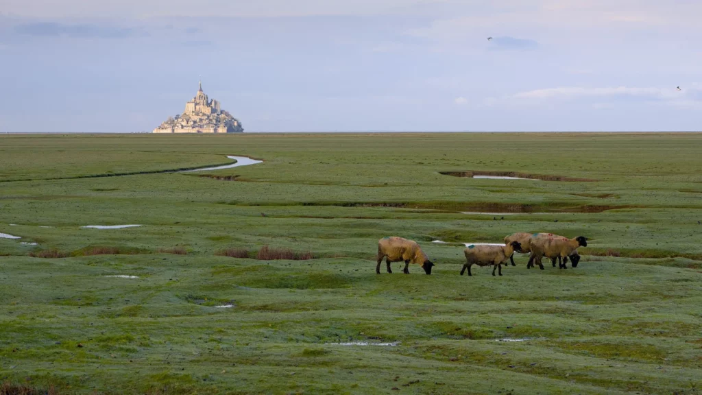 Le Mont-Saint-Michel, décembre 2022