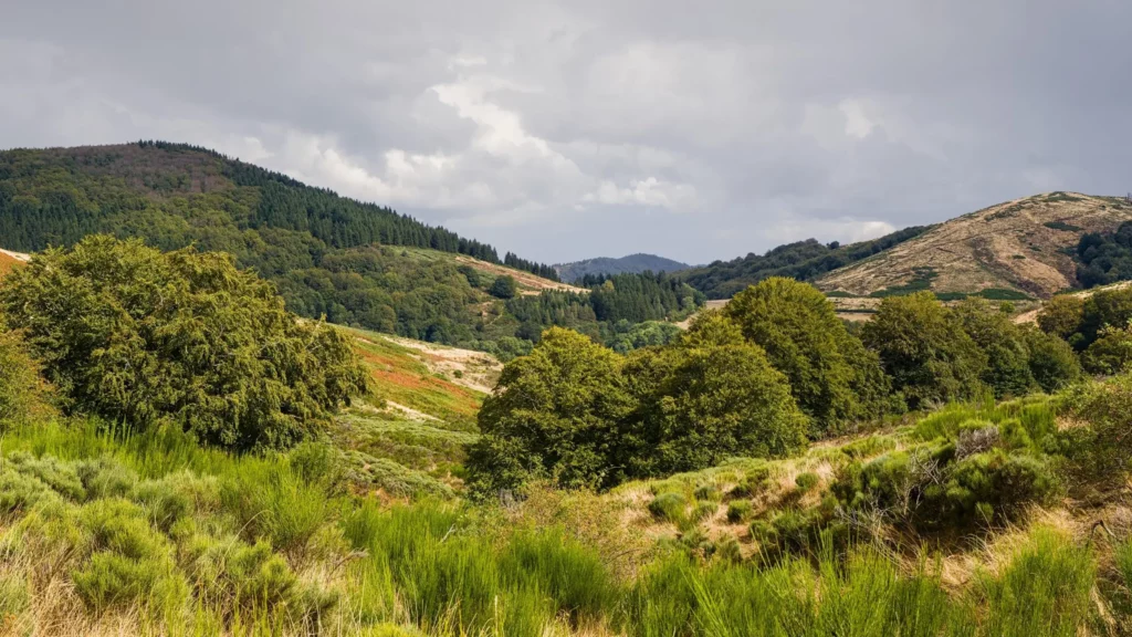 Cévennes, les gorges du Tarn