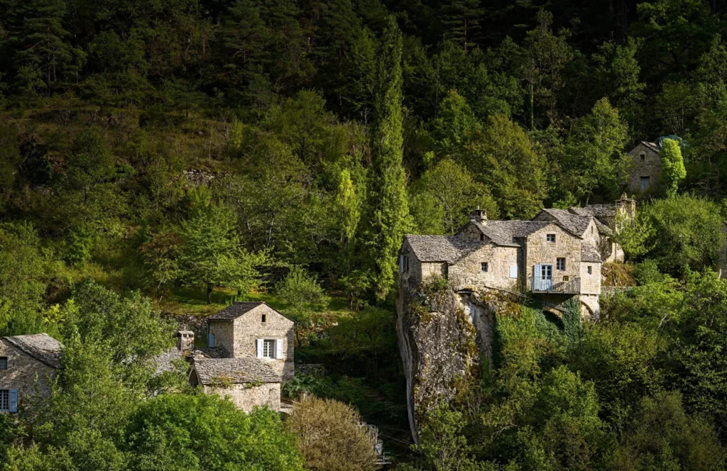 Cévennes, les gorges du Tarn