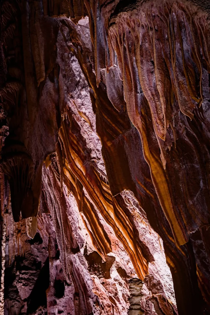 Cévennes, les gorges du Tarn