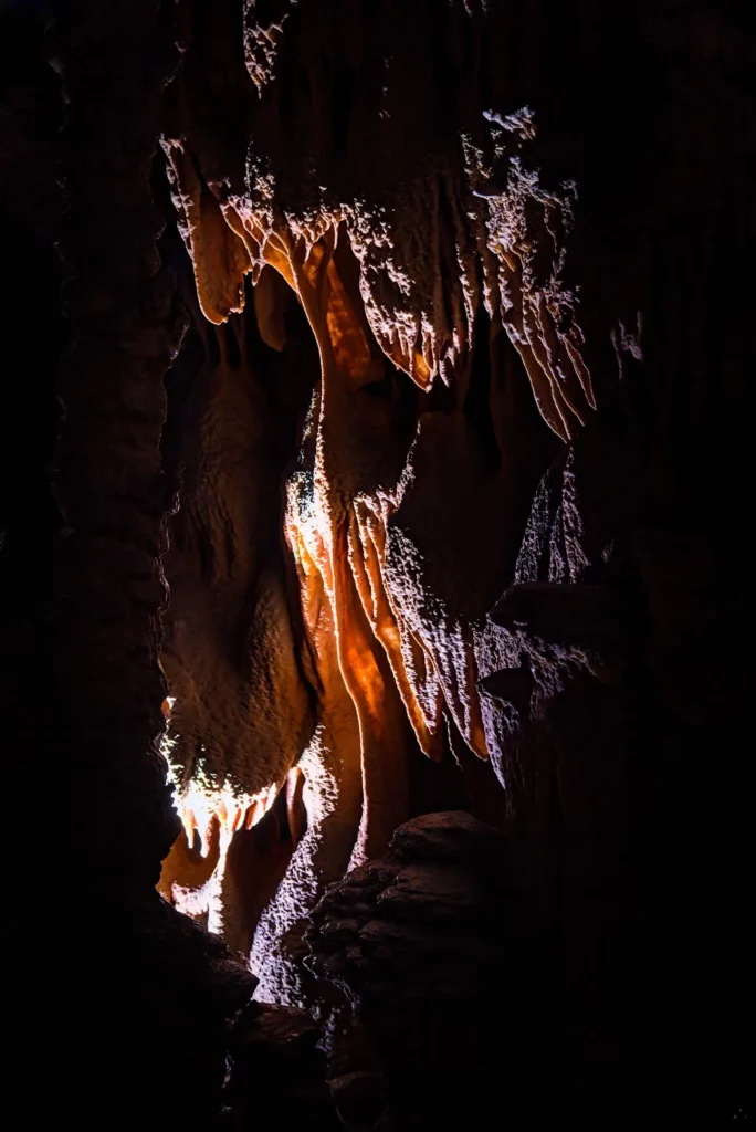 Cévennes, les gorges du Tarn