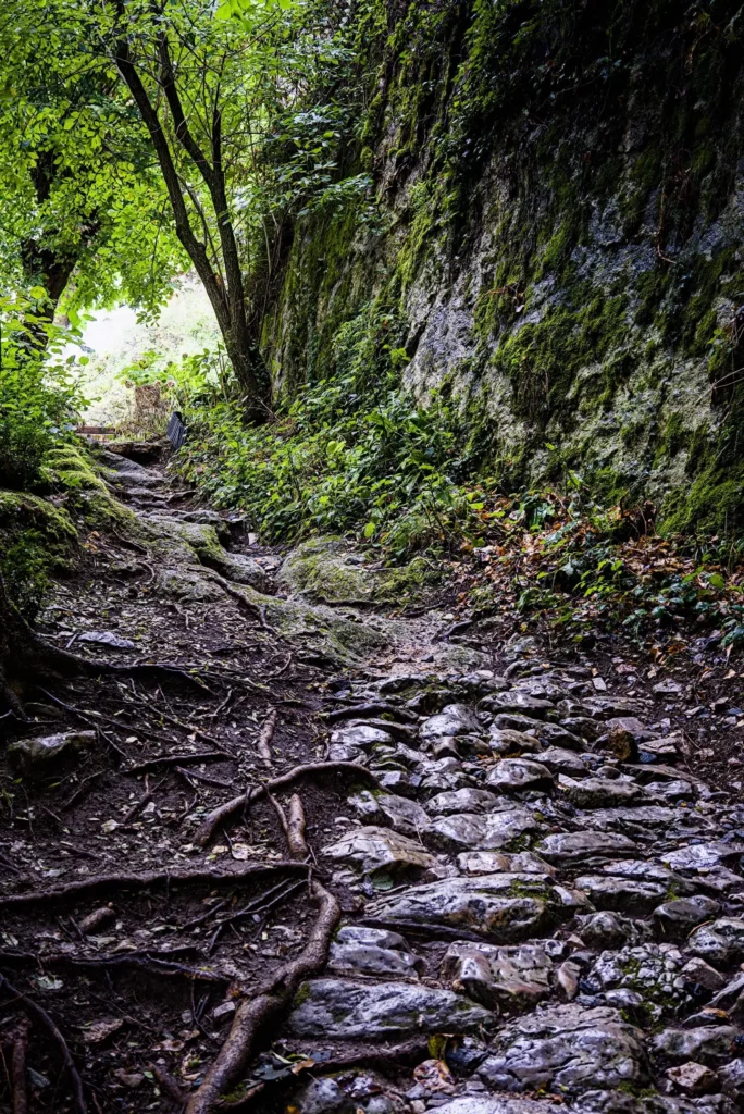 Cévennes, les gorges du Tarn