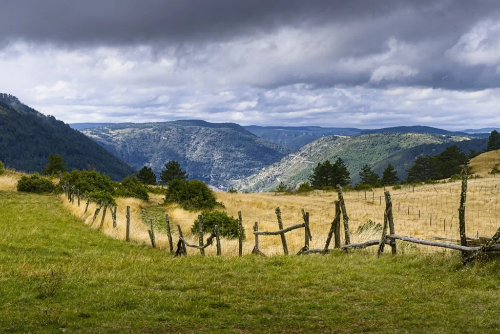 Cévennes, les gorges du Tarn