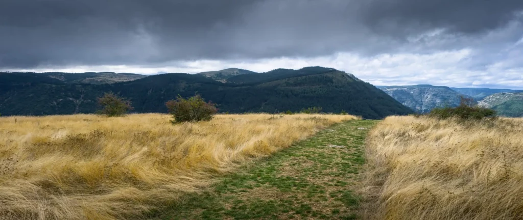 Cévennes, les gorges du Tarn