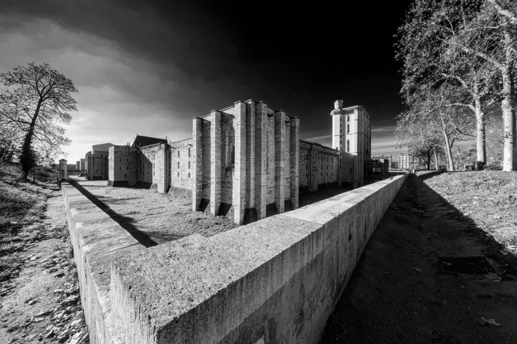 Nouveau FujiFilm X-T5 et objectif XF 8mm