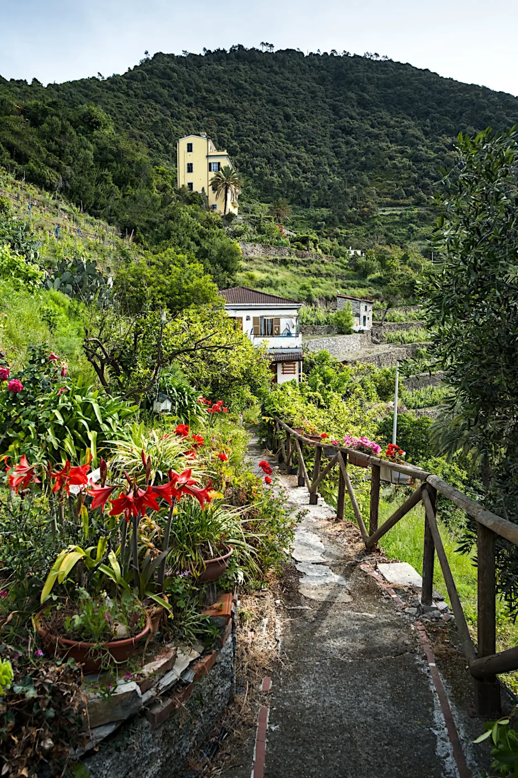 Corniglia – Italie