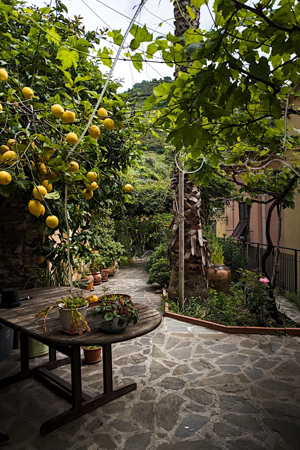 Vernazza – Italie