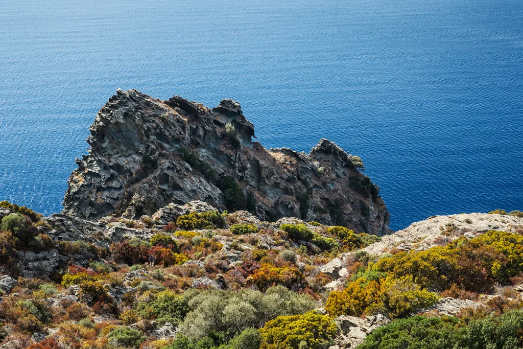 Pino – Cap Corse